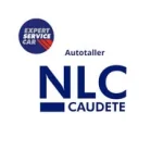 Neumaticosylavados